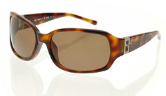 SMITH スミス アウトレット セール AUDREY Tortoise