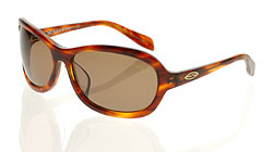 SMITH スミス アウトレット セール RAMSEY Japan Fit Brown Tortoise