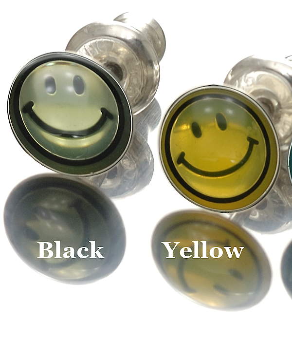 amp japan NOAJ-500 item photo2