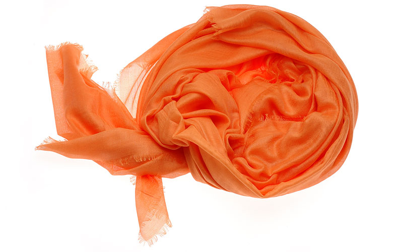 CHAN LUU BRH-SC-339 bird of paradise item photo2