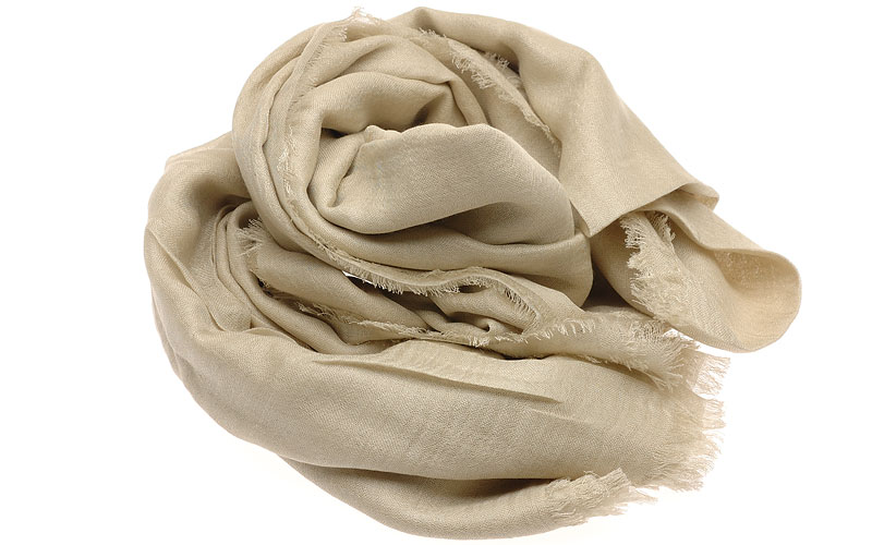 CHAN LUU BRH-SC-339 sand dollar item photo2