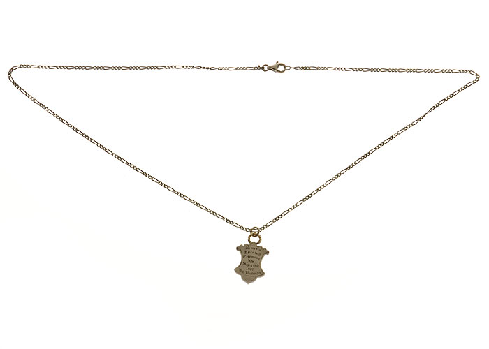 Nemesis NST-017 item photo2