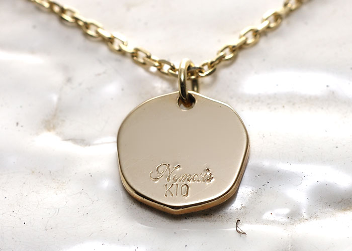 Nemesis NST-041 item photo4