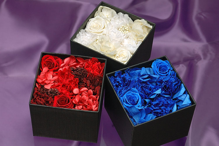 Royal Order SP350 CLEAR option photo4