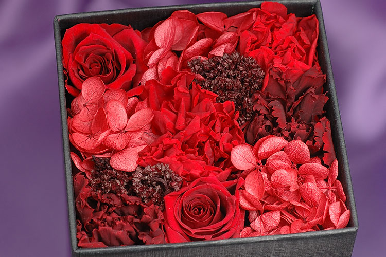 Royal Order SP350 CLEAR option photo5