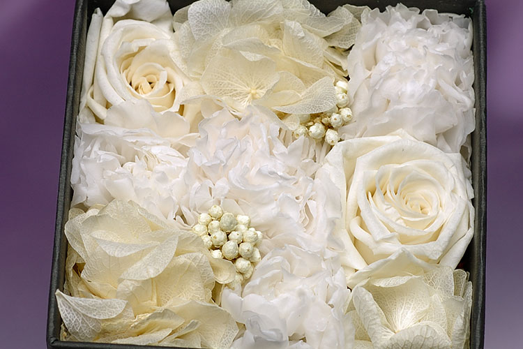 Royal Order SP350 CLEAR option photo6